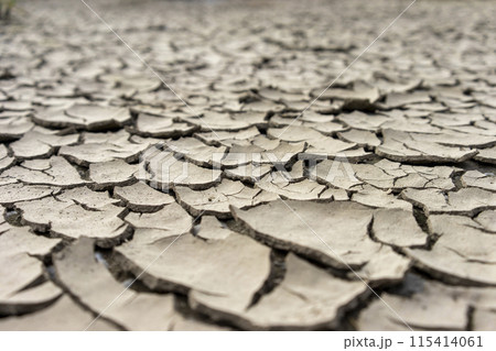 乾燥してひび割れた地面 乾燥してひび割れた地面 115414061