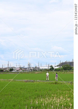 田んぼのあぜ道で立ち止まる男女 田んぼのあぜ道で立ち止まる男女 115414497
