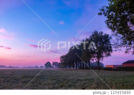 Tranquil countryside morning with trees and pastel sky, creating a beautiful dawn scenery 115415830