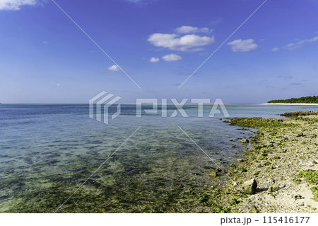 竹富島　サンゴ礁美しいカイジ浜 115416177