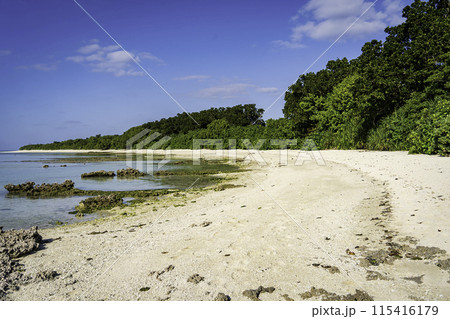 竹富島 美しいカイジ浜 竹富島 美しいカイジ浜 115416179