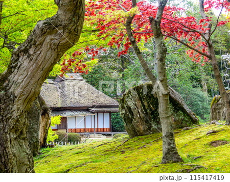 春の岡山 後楽園の趣深い景色 新緑と日本家屋 春の岡山 後楽園の趣深い景色 新緑と日本家屋 115417419