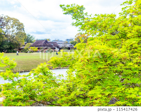 春の岡山　後楽園の趣深い景色　みずみずしいモミジの新緑 115417426