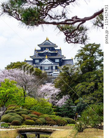 春の岡山　後楽園の趣深い景色　満開の桜と岡山城 115417431