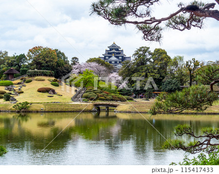春の岡山　後楽園の趣深い景色　沢の池越しに望む桜と岡山城 115417433