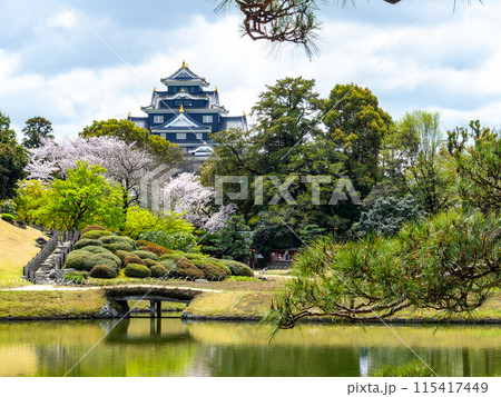 春の岡山 後楽園の趣深い景色 沢の池越しに望む桜と岡山城 春の岡山 後楽園の趣深い景色 沢の池越しに望む桜と岡山城 115417449