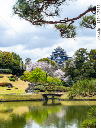 春の岡山 後楽園の趣深い景色 沢の池越しに望む桜と岡山城 春の岡山 後楽園の趣深い景色 沢の池越しに望む桜と岡山城 115417451