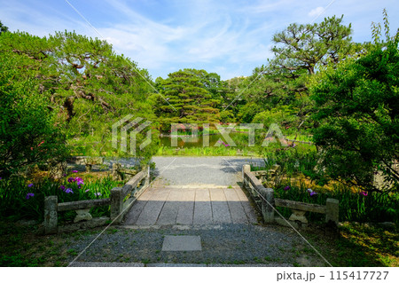 梅宮大社神苑の風景 梅宮大社神苑の風景 115417727