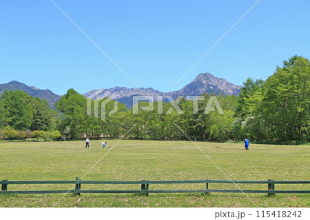 八ヶ岳農場から望む5月の八ヶ岳 115418242