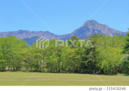 八ヶ岳農場から望む5月の八ヶ岳 115418246