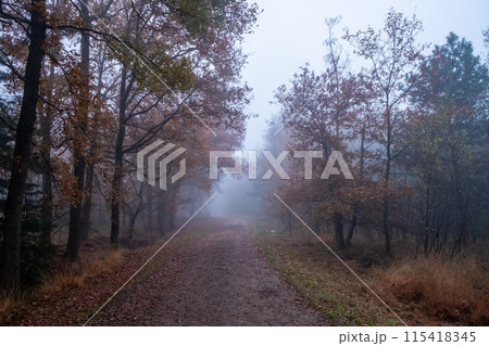 Mysterious Autumn Trail in the Mist 115418345