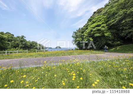 湖山池周辺をサイクリングで楽しむイメージ 115418988