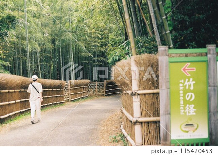 向日市竹の径 115420453