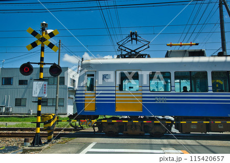 淵龍の池から睡蓮とえちぜん鉄道を見る 115420657