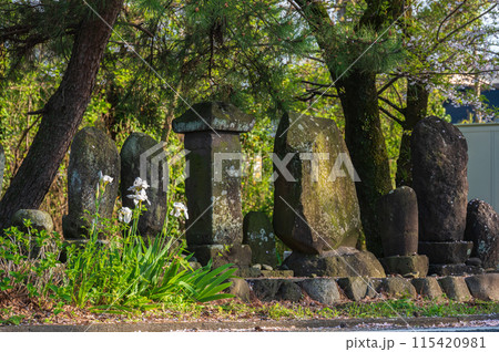 文明堤の道 115420981