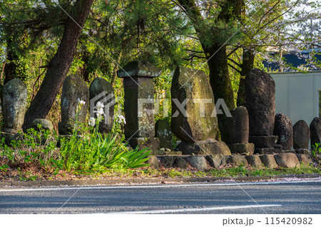 文明堤の道 115420982
