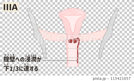 隈研吾介绍