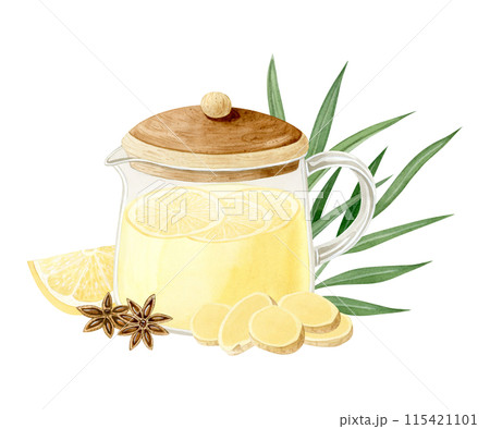 Brewed ginger tea with lemons and star anise spice in glass teapot watercolor illustration isolated on white background. Hand drawn organic herbal hot beverage for traditional medicine Brewed ginger tea with lemons and star anise spice in glass teapot watercolor illustration isolated on white background. Hand drawn organic herbal hot beverage for traditional medicine 115421101