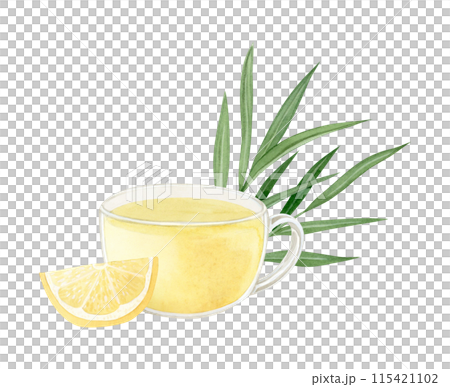 Herbal ginger tea with lemon and green leaves in glass cup watercolor illustration isolated on white background. Hot beverage of organic ingredients against flu and cold Herbal ginger tea with lemon and green leaves in glass cup watercolor illustration isolated on white background. Hot beverage of organic ingredients against flu and cold 115421102