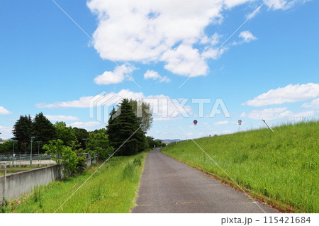 真っ直ぐに伸びる道と青空 真っ直ぐに伸びる道と青空 115421684