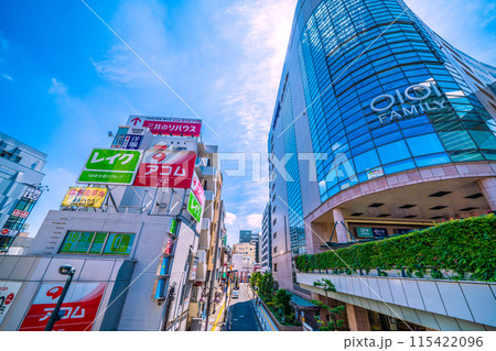 日本の川崎都市景観 6月。溝の口駅(武蔵溝ノ口駅)前などを望む 日本の川崎都市景観 6月。溝の口駅(武蔵溝ノ口駅)前などを望む 115422096