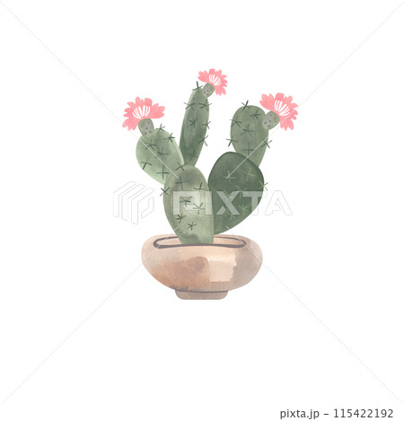 Cactus in a wide light concrete pot. Plants for the home. Floriculture. Interior decoration. Isolated watercolor illustration on white background. Clipart. Cactus in a wide light concrete pot. Plants for the home. Floriculture. Interior decoration. Isolated watercolor illustration on white background. Clipart. 115422192