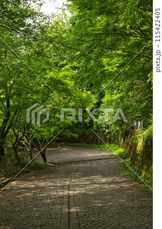 八幡山の秋を散策 115422405