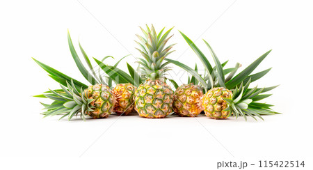 Close-up of ripe pineapples on a tree branch. Vibrant citrus fruits and green leaves convey freshness and healthy living 115422514