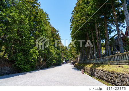 日光東照宮の参道 115422576