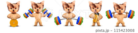 Funny dog holding sport equipment like dumbbell, kettlebell Funny dog holding sport equipment like dumbbell, kettlebell 115423008