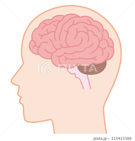 脳 115423166