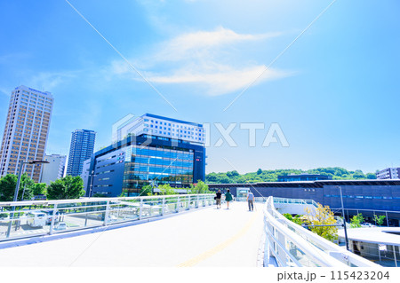 うららかな青空日和に映える熊本駅周辺風景　(熊本駅白川口（東口）駅前広場)【広場から観える風景】 115423204
