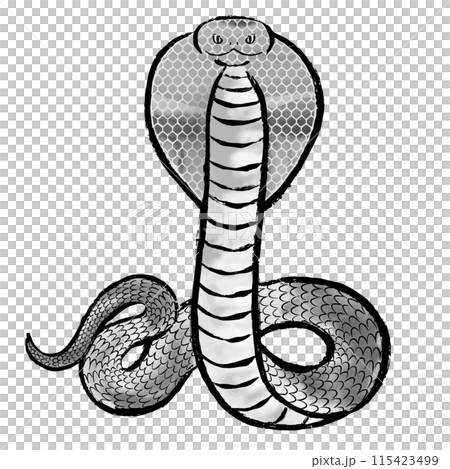 筆墨畫風格的眼鏡蛇剪影插畫素材 115423499