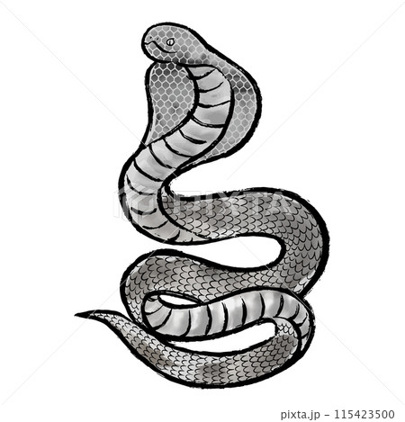 筆と水墨画風のコブラのシルエットイラスト素材 115423500