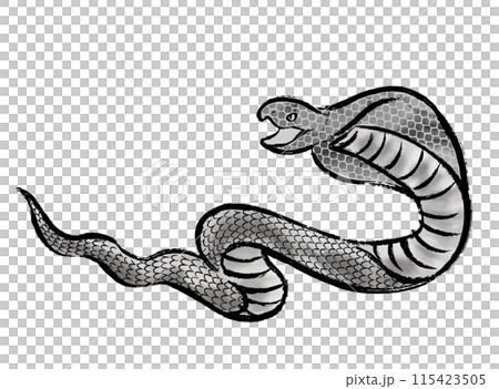 筆と水墨画風のコブラのシルエットイラスト素材 115423505