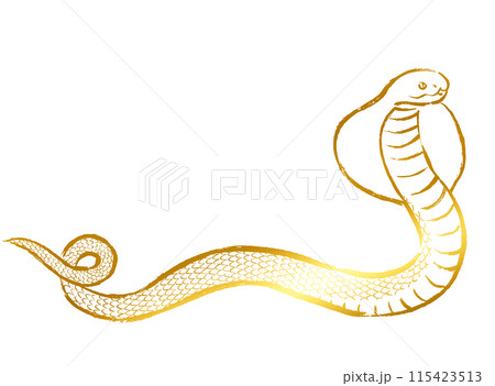 ゴールドの筆タッチのコブラのイラスト素材 ゴールドの筆タッチのコブラのイラスト素材 115423513