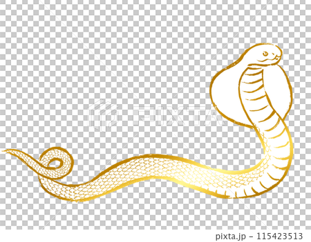 Cobra illustration material with gold brush strokes Cobra illustration material with gold brush strokes 115423513