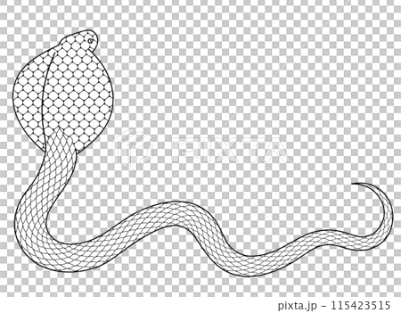 Cobra line drawing illustration material 115423515