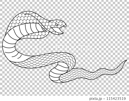 Cobra line drawing illustration material Cobra line drawing illustration material 115423519