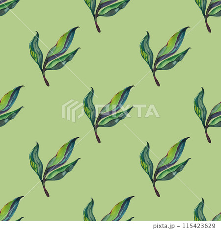 Seamless pattern with green leaves, illustration in vintage watercolor style. Seamless pattern with green leaves, illustration in vintage watercolor style. 115423629