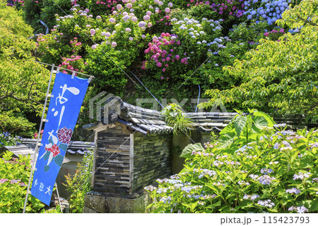 アジサイ寺　大慈寺 115423793