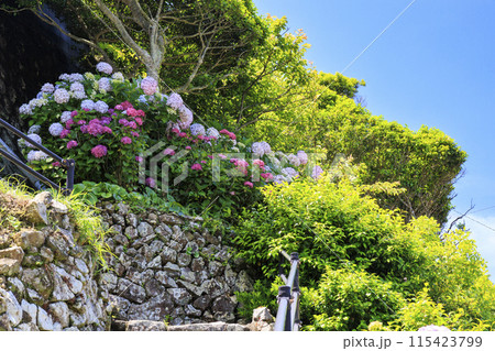 アジサイ寺　大慈寺 115423799