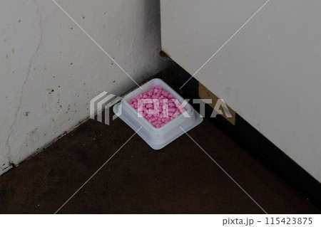 キッチンに置かれている殺鼠剤　ガス台の下のマットの上に仕掛けている 115423875