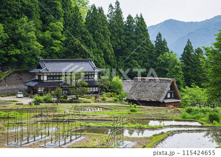 富山県 五箇山 相倉合掌造り集落 第1駐車場側の水田風景 世界遺産 富山県 五箇山 相倉合掌造り集落 第1駐車場側の水田風景 世界遺産 115424655