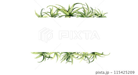 green aloe vera horizontal frame 115425209