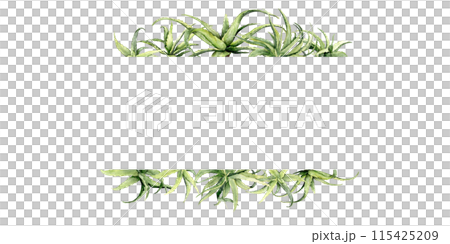green aloe vera horizontal frame 115425209
