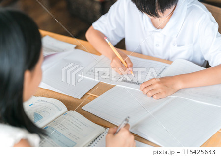 宿題・勉強をする小学生の男の子・中学生の女の子・兄妹（夏休み・受験勉強） 115425633