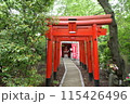 鳥居 115426496