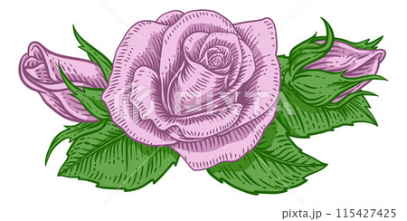 Rose Flower Design Woodcut Vintage Retro Style Rose Flower Design Woodcut Vintage Retro Style 115427425