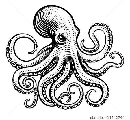 Octopus Cthulhu Tattoo Woodcut Kraken Mascot Squid 115427444